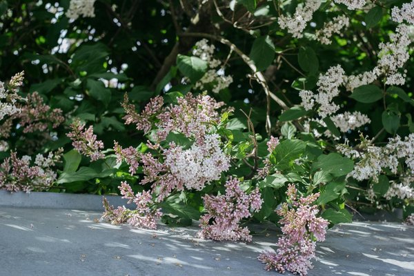 Maximisez l'Espace Chez Vous : Découvrez les Multiples Types de Placards Astucieux